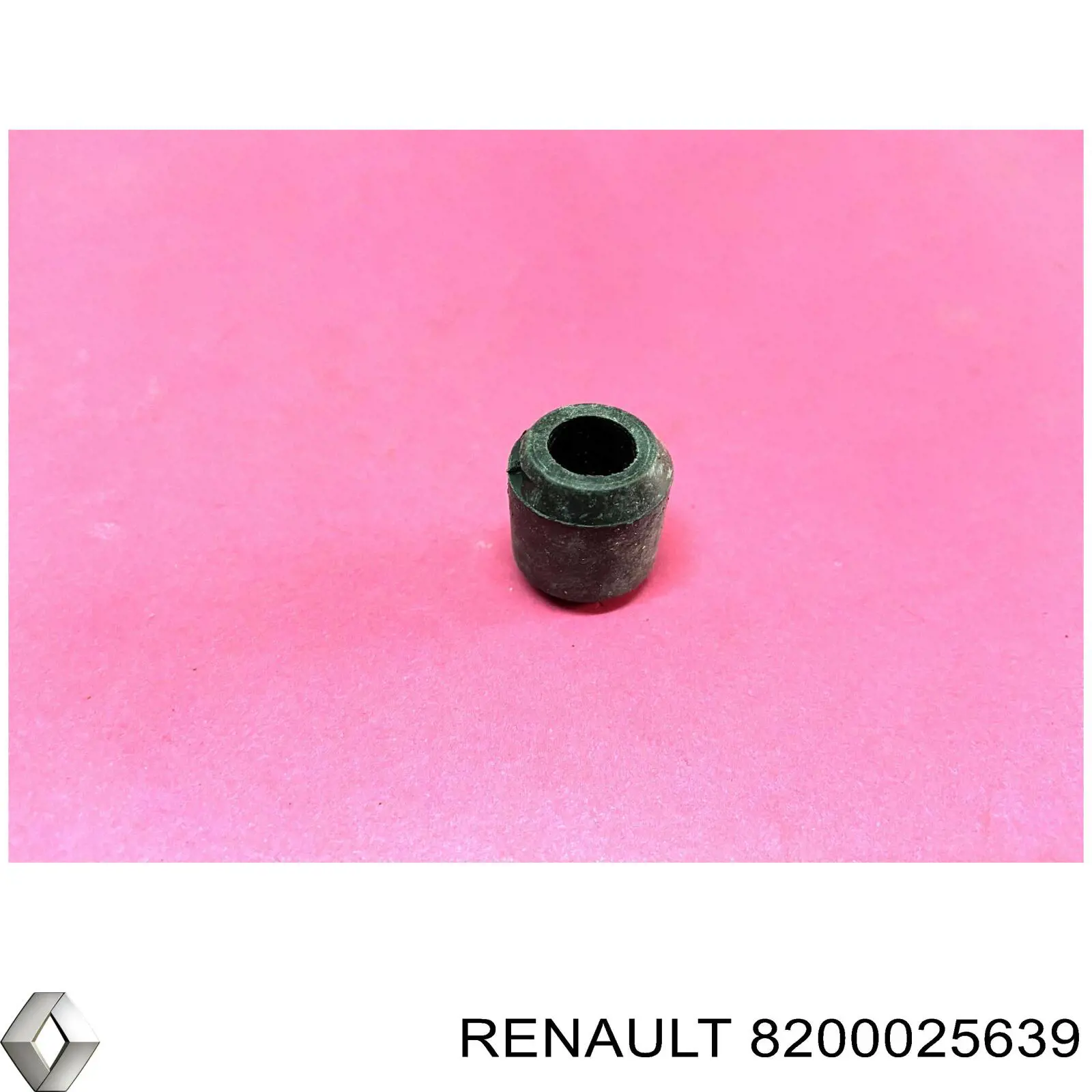8200025639 Renault (RVI) 