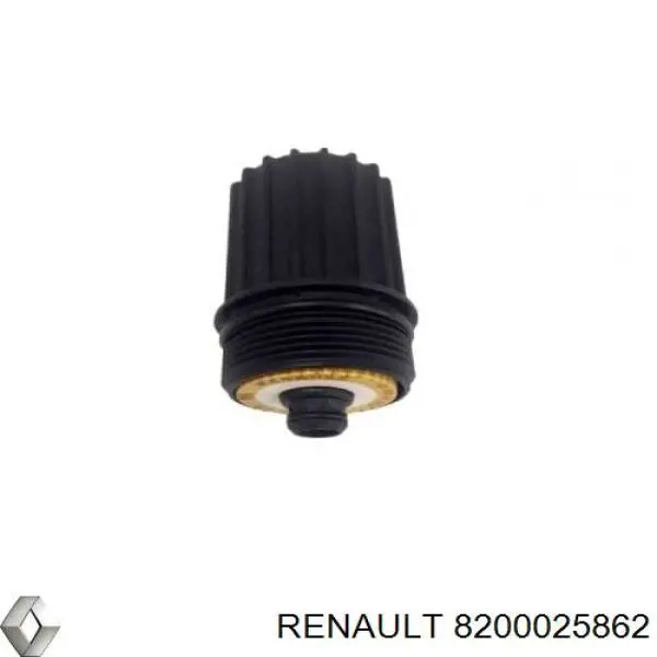 8200025862 Renault (RVI)