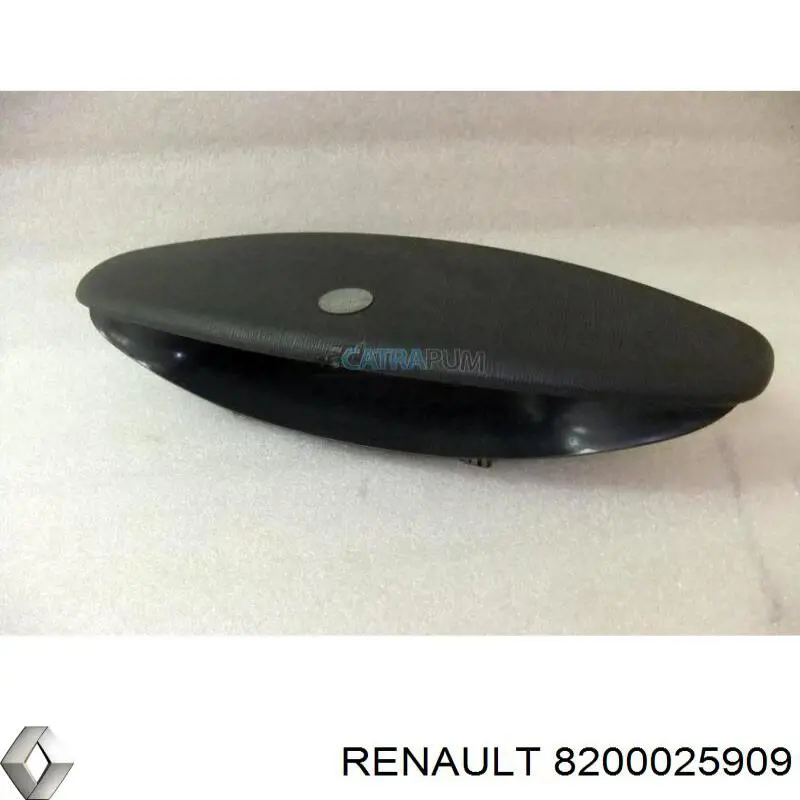 Купить 8200025909 Renault (RVI) 