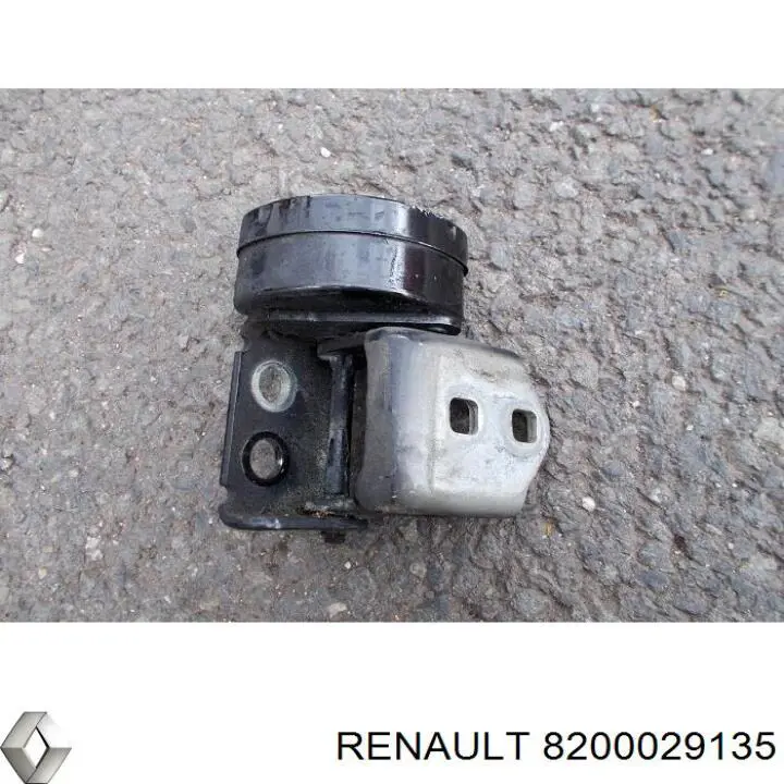 Bisagra de puerta delantera izquierda 8200029135 Renault (RVI)