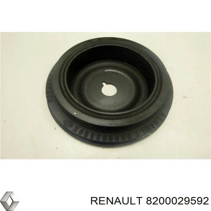 8200029592 Renault (RVI)