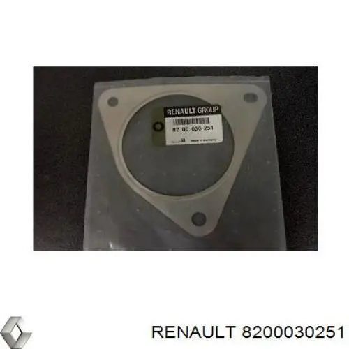 8200030251 Renault (RVI)