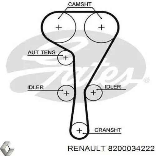 Correa distribucion 8200034222 Renault (RVI)