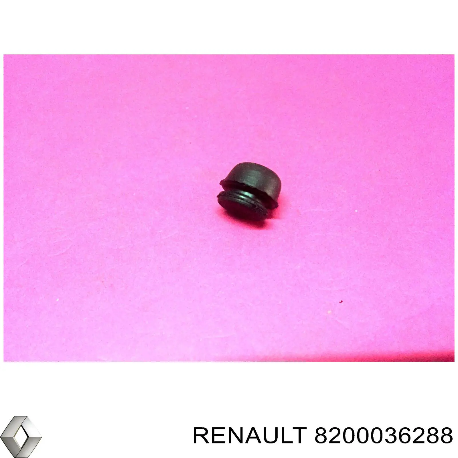  8200036288 Renault (RVI)