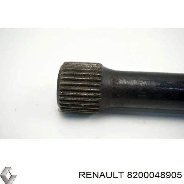 Торсион задний левый 8200048905 Renault (RVI)