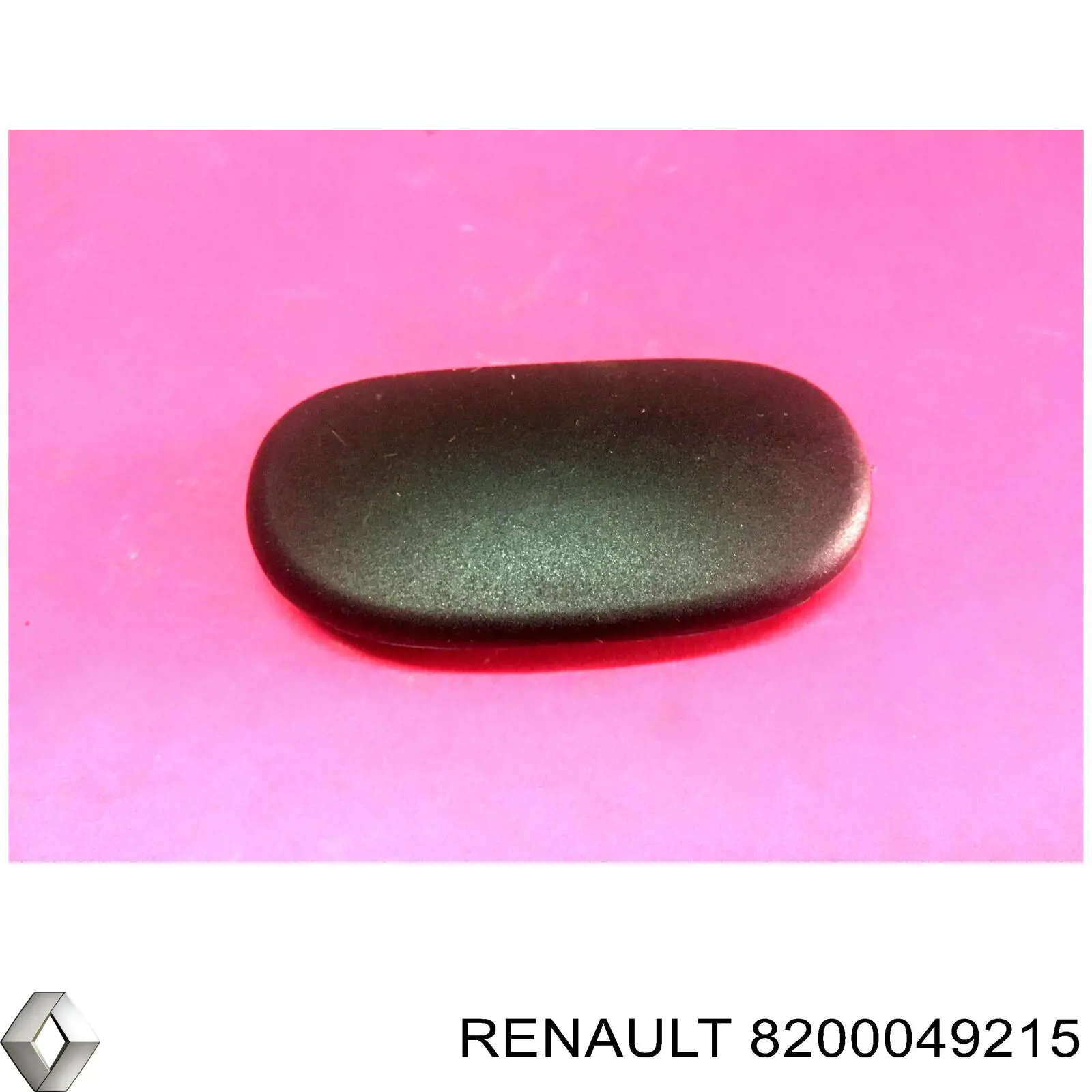  8200049215 Renault (RVI)