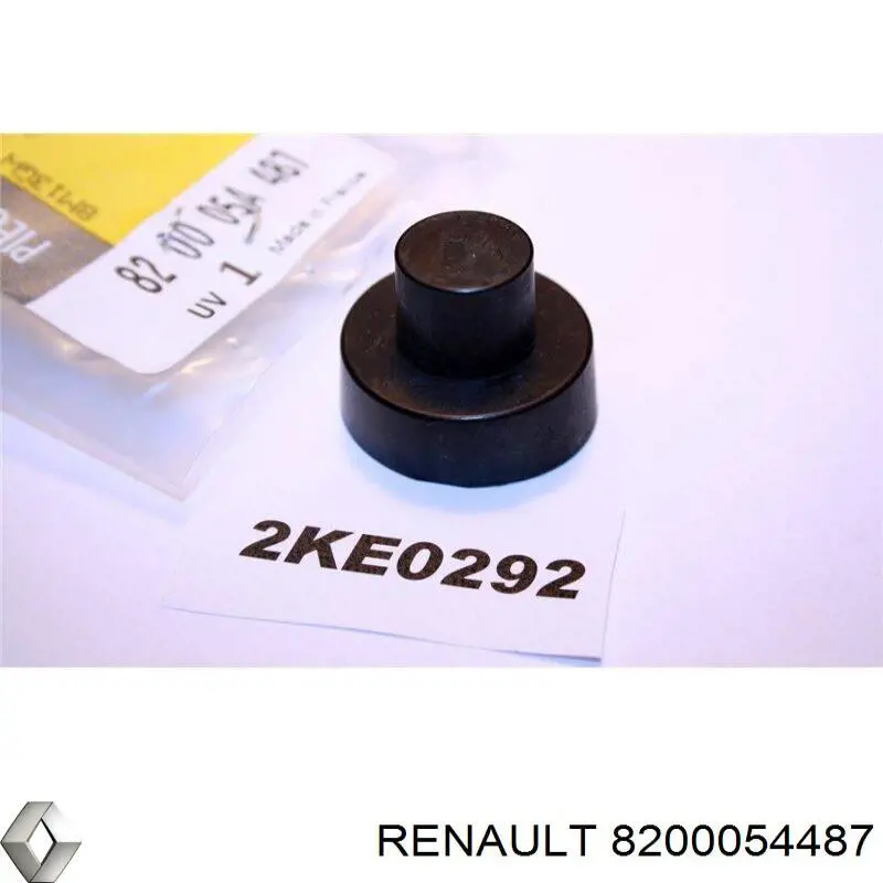  8200054487 Renault (RVI)