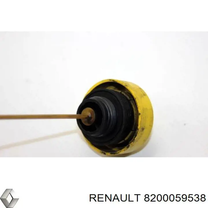 8200059538 Renault (RVI)