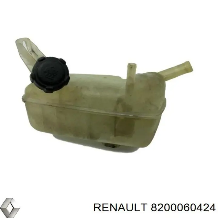 8200060424 Renault (RVI)