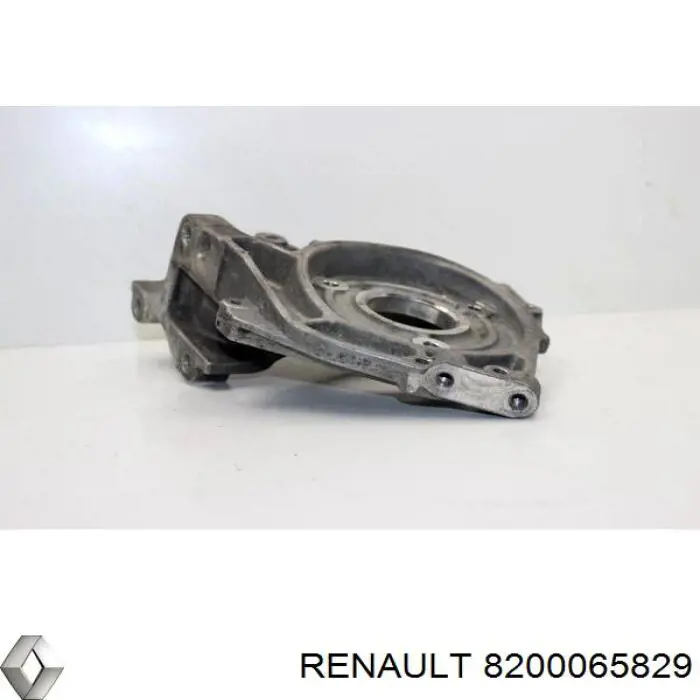  Renault (RVI) 8200065829 цена, от 14.09 USD