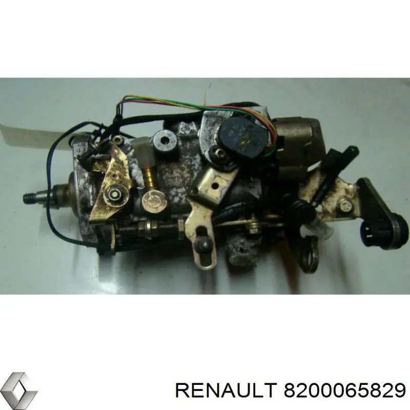  8200065829 Renault (RVI)