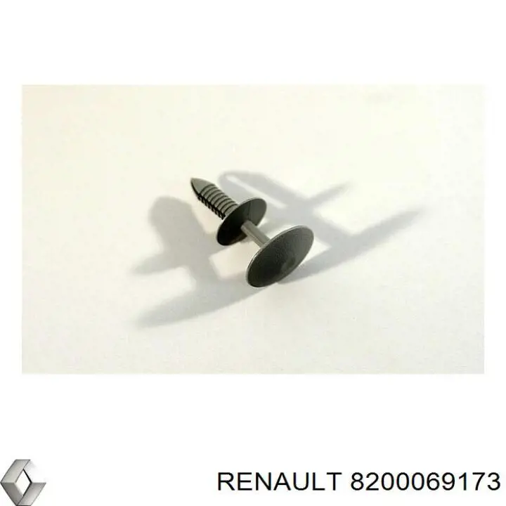  8200069173 Renault (RVI)