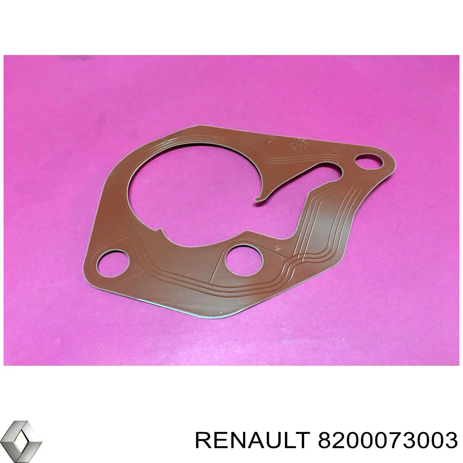 Прокладка вакуумного насоса Renault (RVI) 1465800QAC