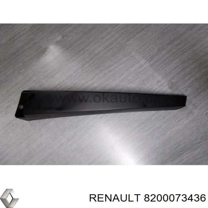  8200073436 Renault (RVI)