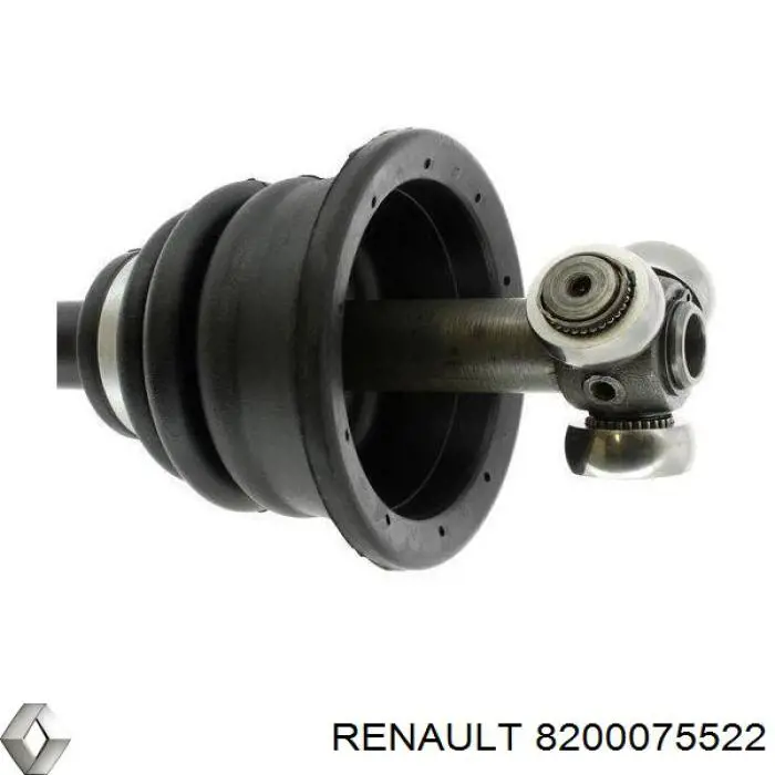  8200075522 Renault (RVI)