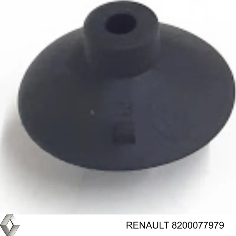  Renault (RVI) 8200077979