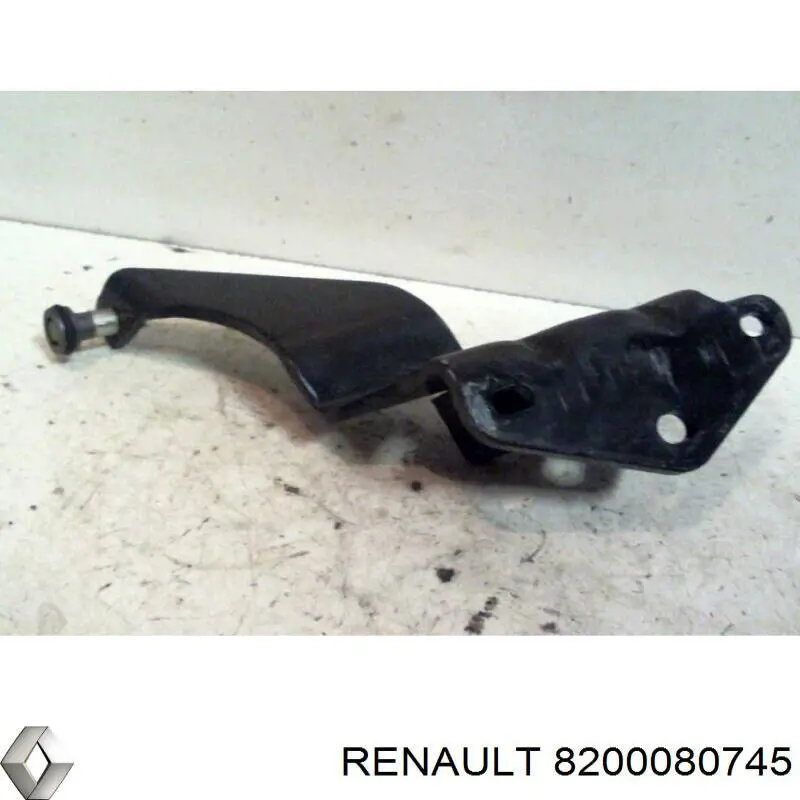  8200080745 Renault (RVI)