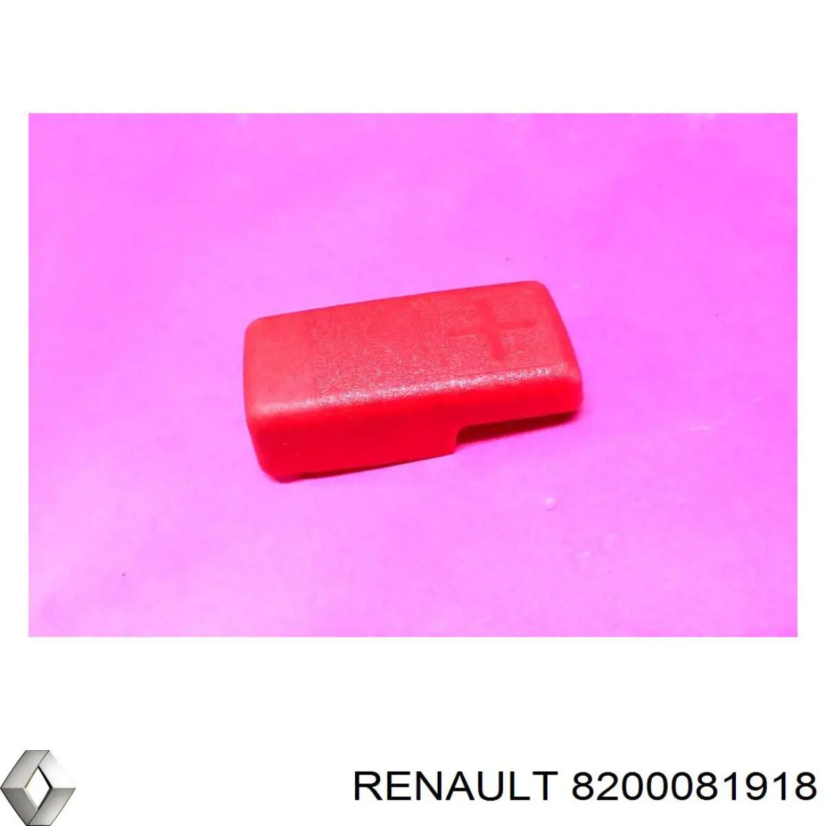 8200081918 Renault (RVI) 