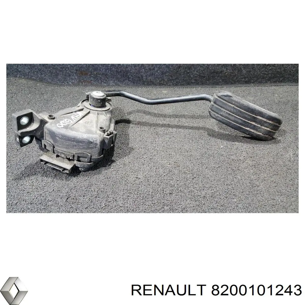  8200101243 Renault (RVI)