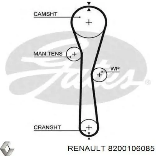 Correa distribucion 8200106085 Renault (RVI)