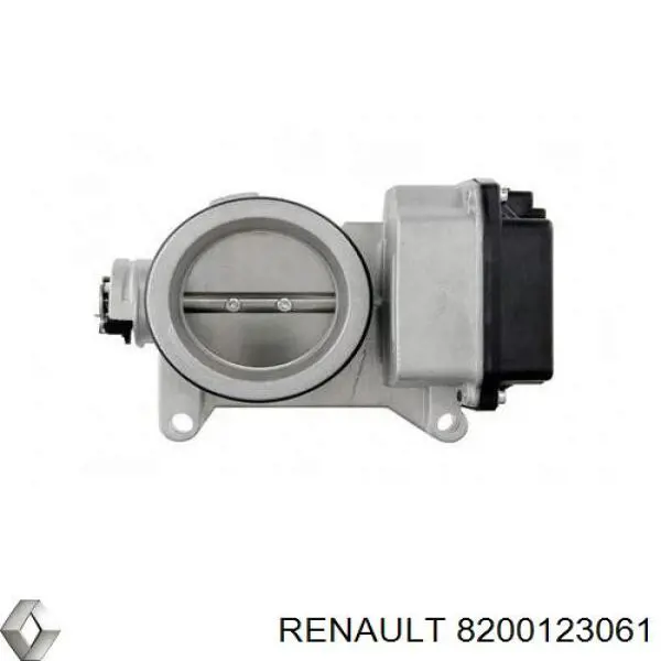 8200123061 Renault (RVI)