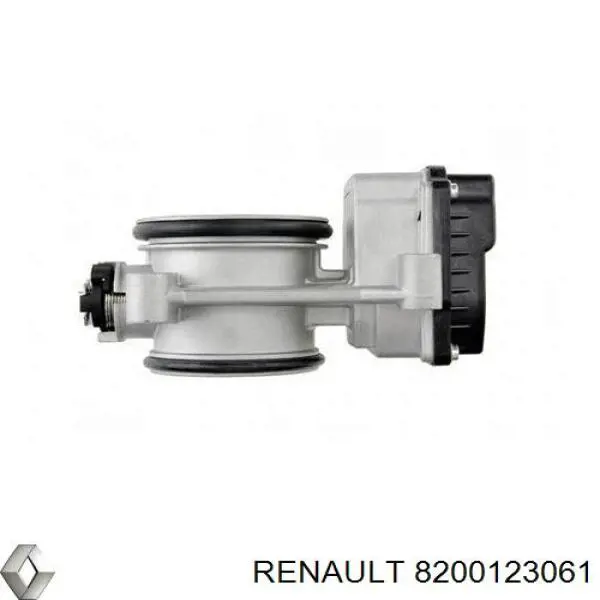 8200123061 Renault (RVI) Válvula de borboleta montada