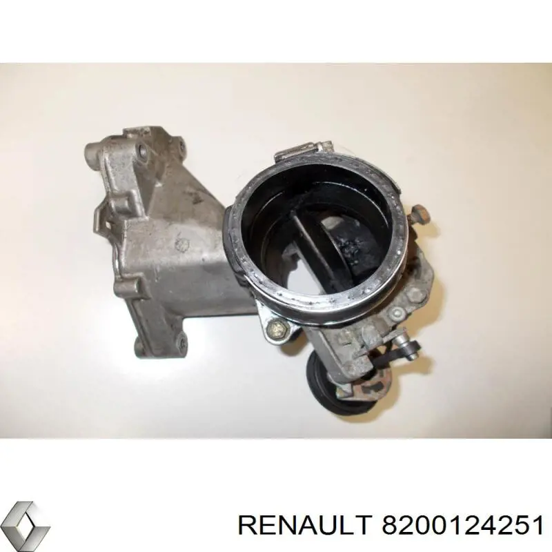 8200124251 Renault (RVI) 