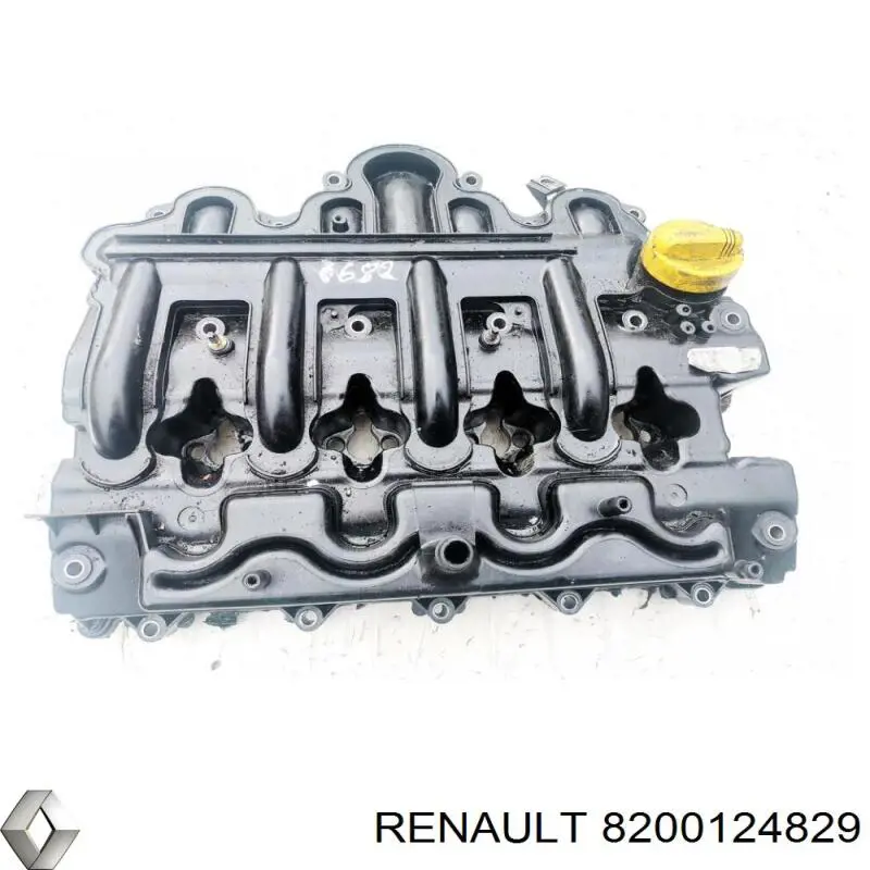 Купить 8200124829 Renault (RVI) 