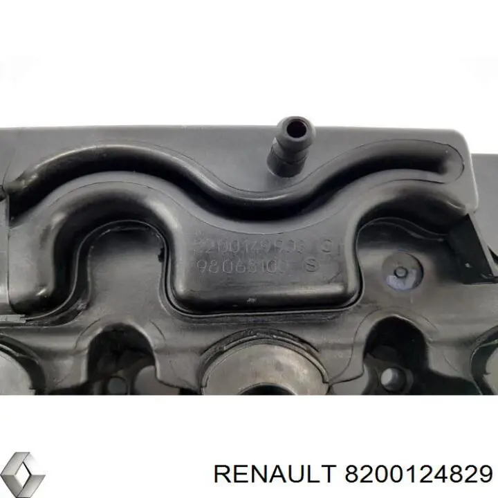  8200124829 Renault (RVI)