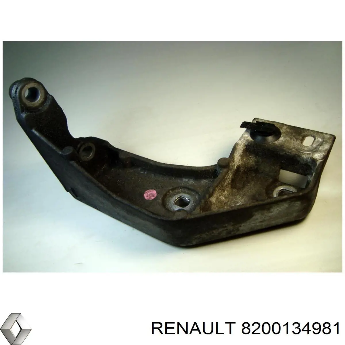  8200134981 Renault (RVI)
