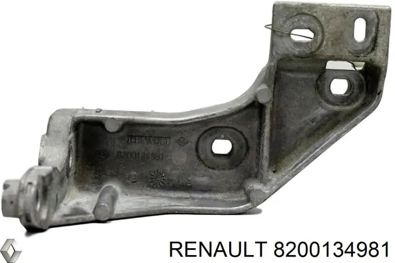 8200134981 Renault (RVI) 