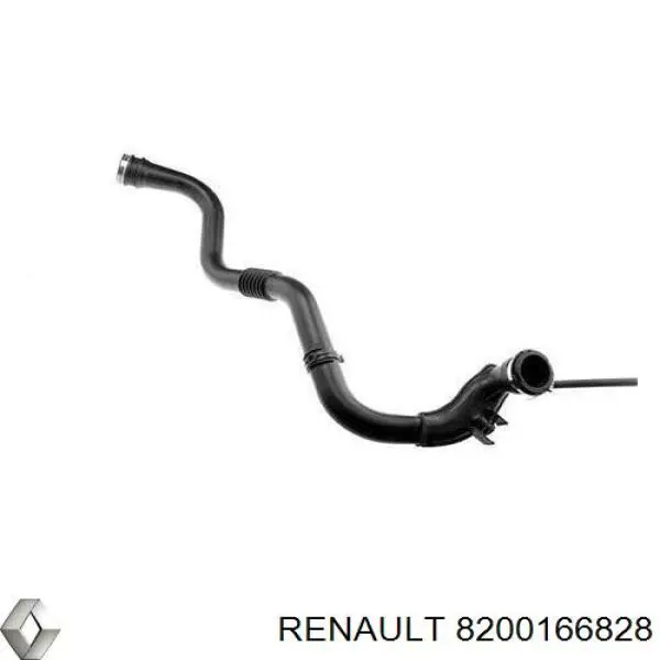 8200166828 Renault (RVI)