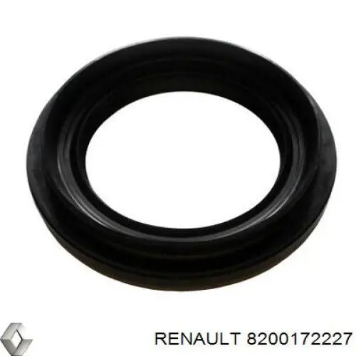 8200172227 Renault (RVI)