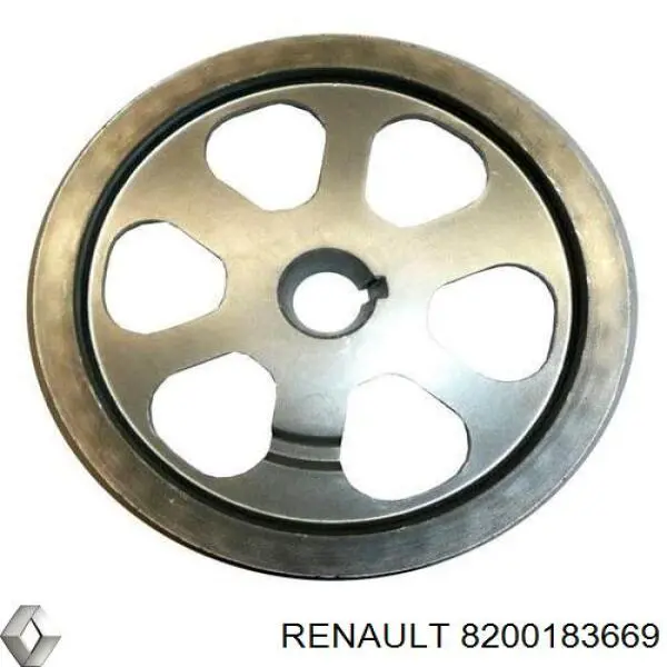 8200183669 Renault (RVI)