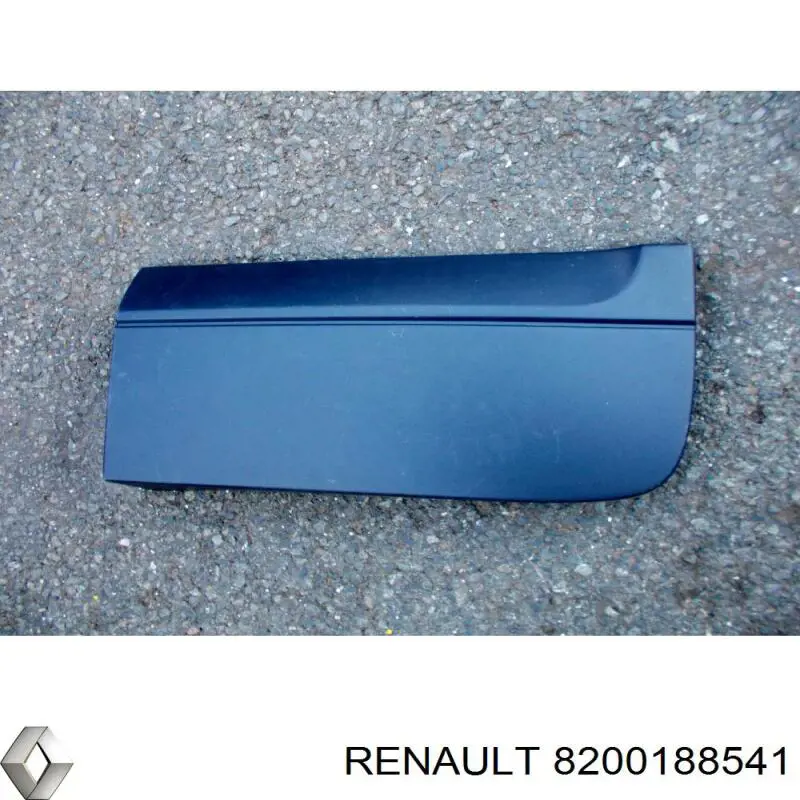 908725986R Renault (RVI) moldura da porta traseira direita