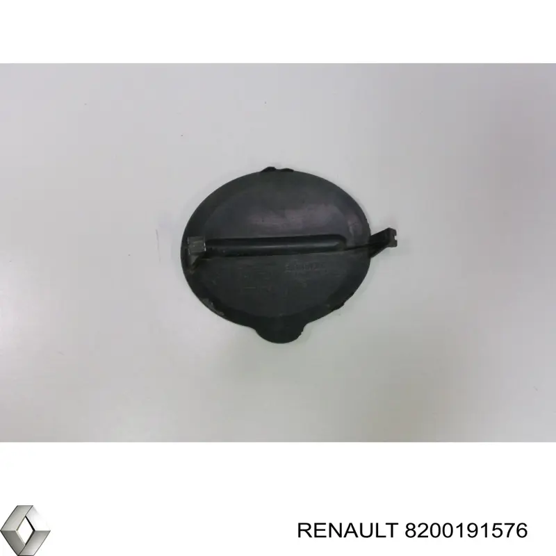 8200191576 Renault (RVI) 