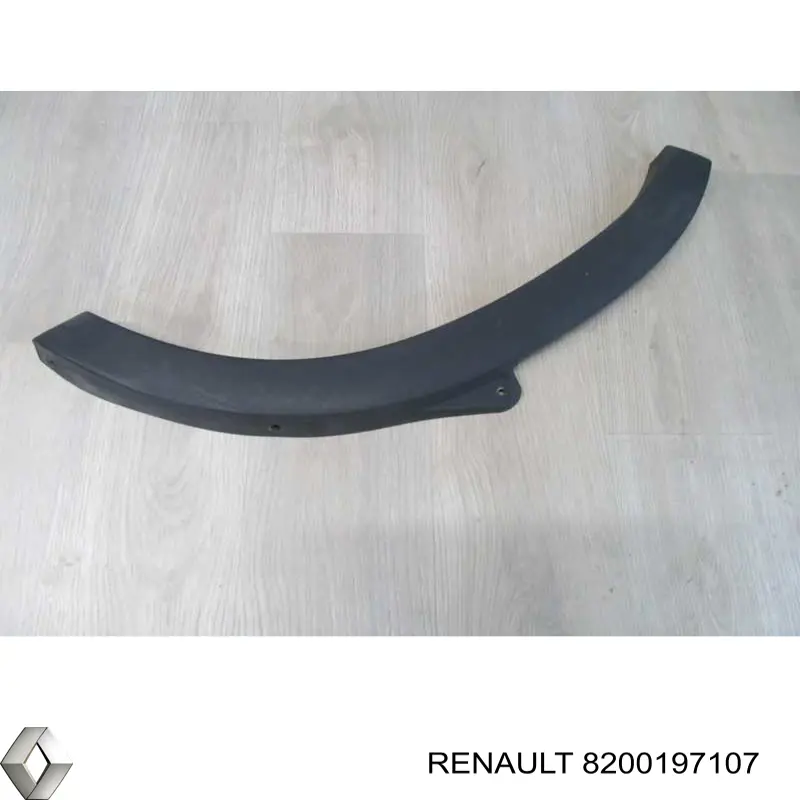  8200197107 Renault (RVI)