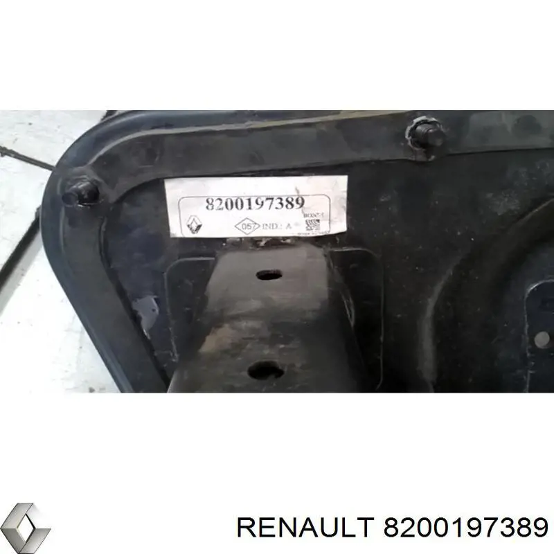  8200197389 Renault (RVI)