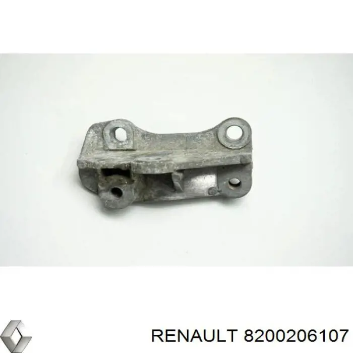 8200206107 Renault (RVI) 