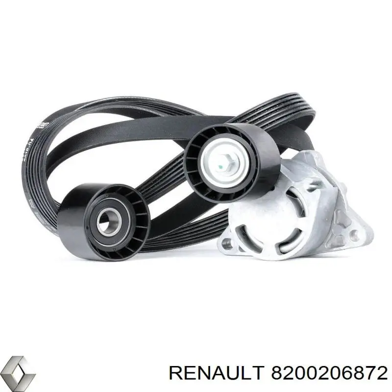 8200206872 Renault (RVI)
