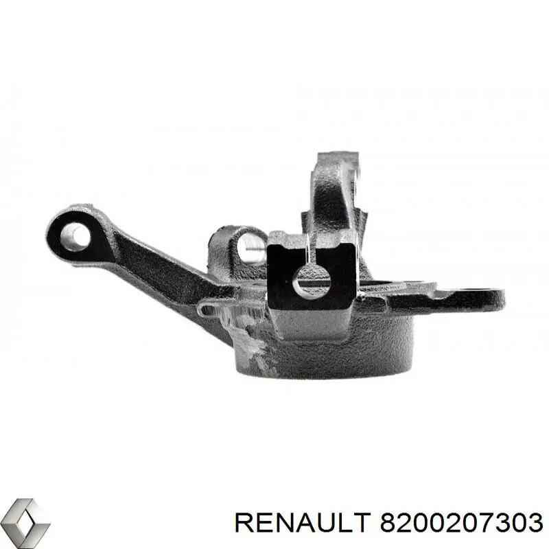 Купить 8200207303 Renault (RVI) Цапфа поворотная левая