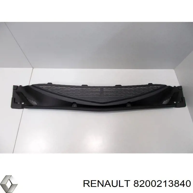  8200213840 Renault (RVI)