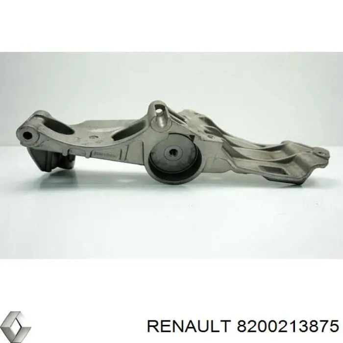  8200213875 Renault (RVI)