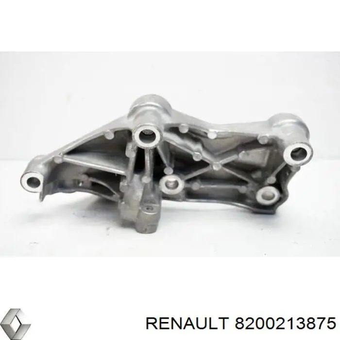 8200213875 Renault (RVI) 
