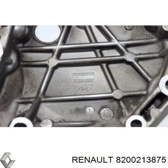  8200213875 Renault (RVI)