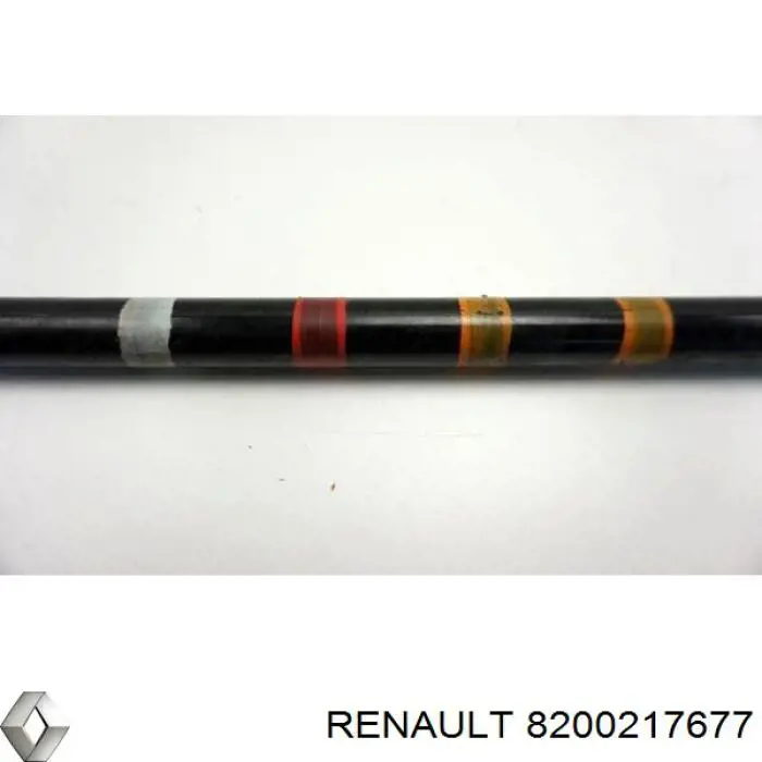 Торсион задний правый 8200217677 Renault (RVI)