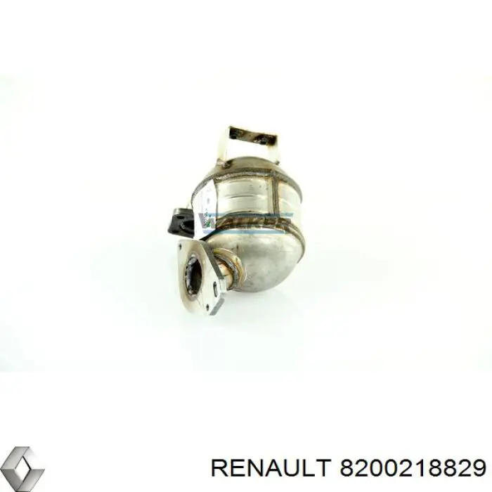  8200218829 Renault (RVI)