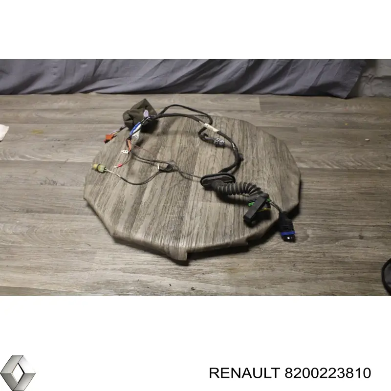 8200223810 Renault (RVI) 