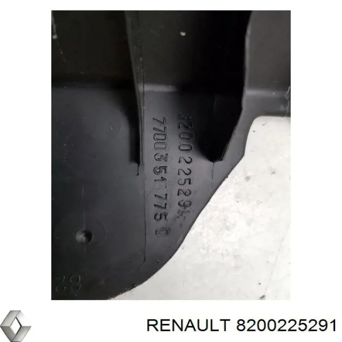  8200225291 Renault (RVI)