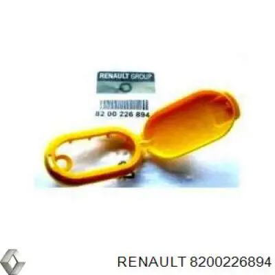 8200226894 Renault (RVI)